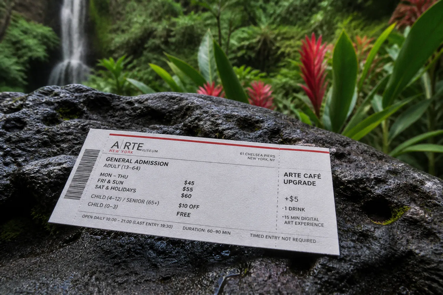 Tarifs de l'Arte Museum New York : combien coûte la visite ?