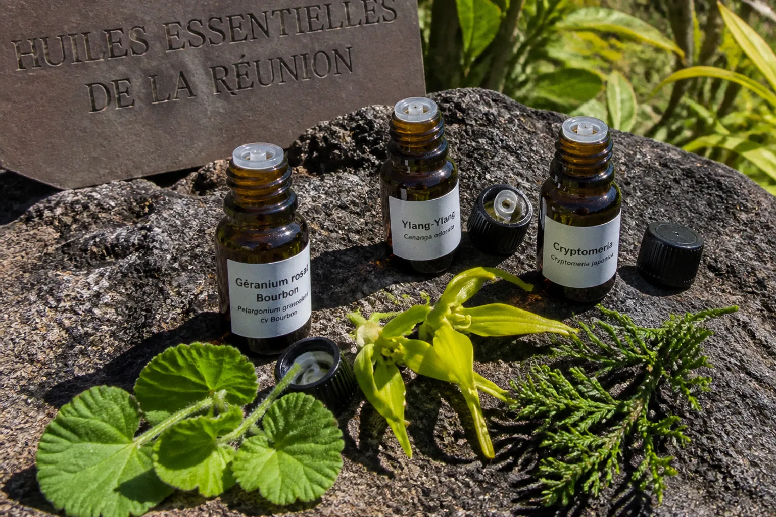 Huiles essentielles de La Réunion : comment les choisir
