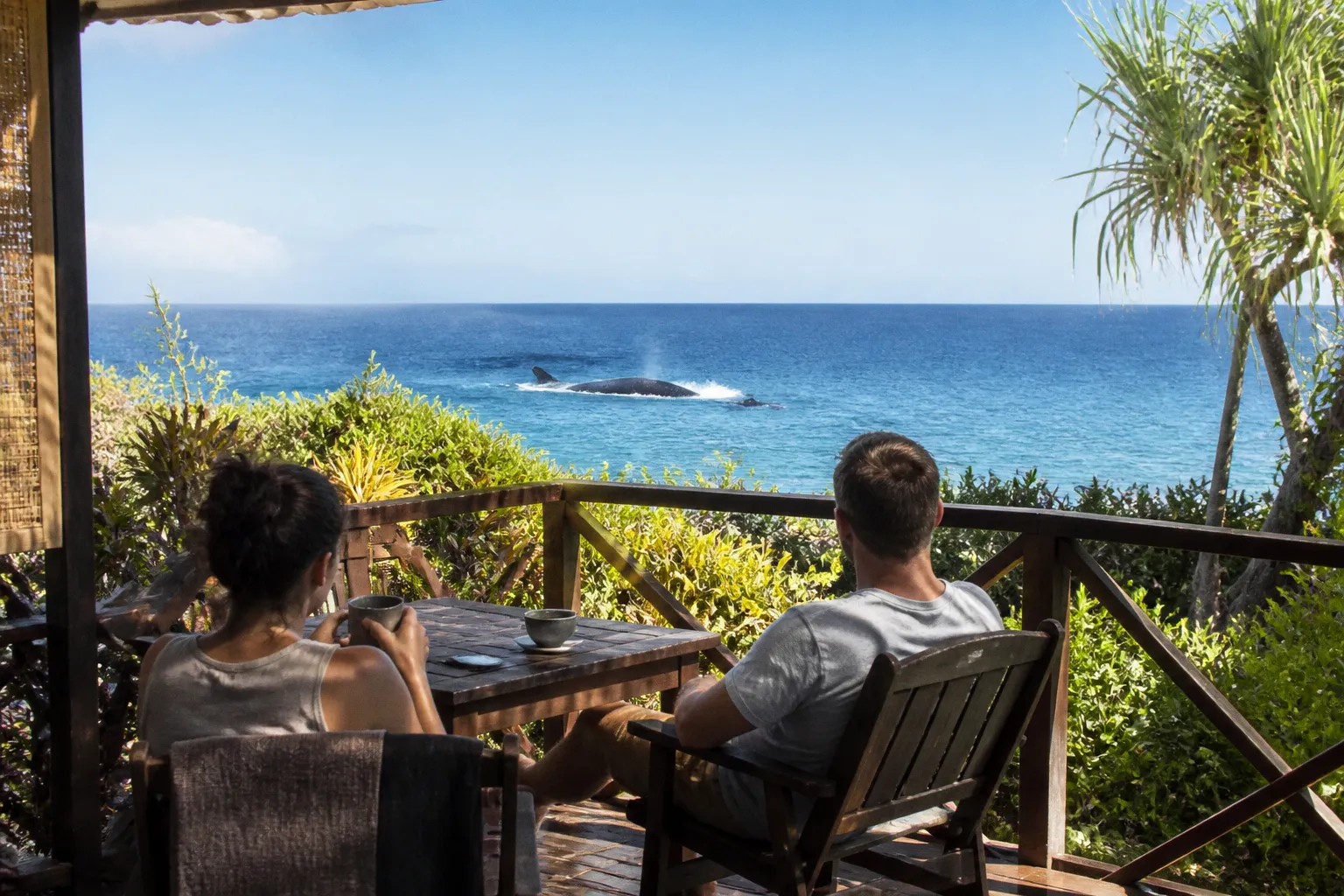 Observation des baleines à Saint-Leu : le spectacle depuis votre bungalow