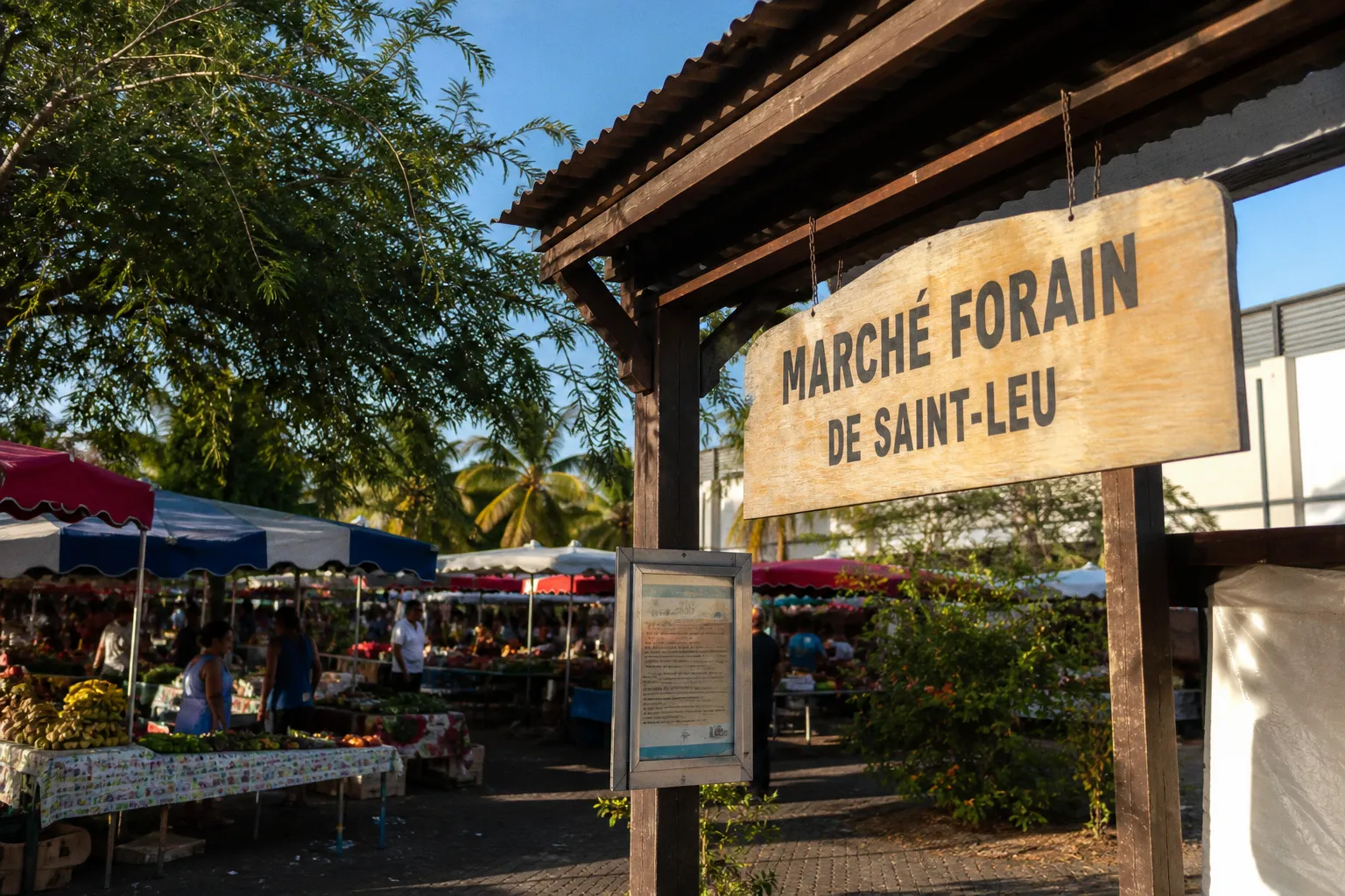 Projet Réunion Express : quel impact réel pour les loueurs de bungalows sur l'île ?